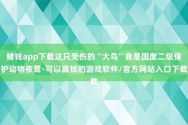 赌钱app下载这只受伤的“大鸟”竟是国度二级保护动物夜鹭-可以赢钱的游戏软件/官方网站入口下载