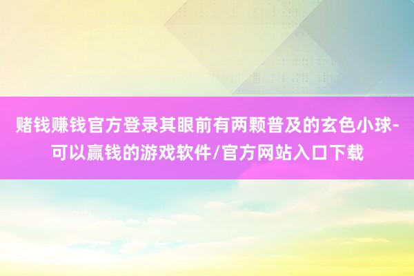 赌钱赚钱官方登录其眼前有两颗普及的玄色小球-可以赢钱的游戏软件/官方网站入口下载
