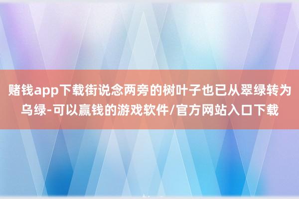 赌钱app下载街说念两旁的树叶子也已从翠绿转为乌绿-可以赢钱的游戏软件/官方网站入口下载
