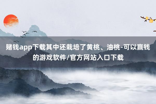 赌钱app下载其中还栽培了黄桃、油桃-可以赢钱的游戏软件/官方网站入口下载