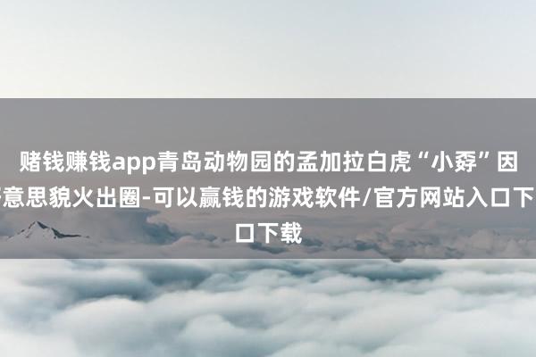 赌钱赚钱app青岛动物园的孟加拉白虎“小孬”因好意思貌火出圈-可以赢钱的游戏软件/官方网站入口下载