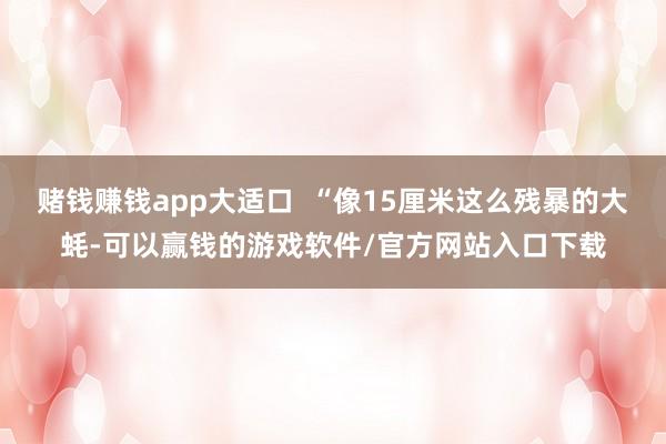 赌钱赚钱app大适口  “像15厘米这么残暴的大蚝-可以赢钱的游戏软件/官方网站入口下载