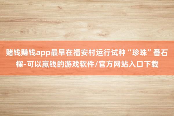 赌钱赚钱app最早在福安村运行试种“珍珠”番石榴-可以赢钱的游戏软件/官方网站入口下载